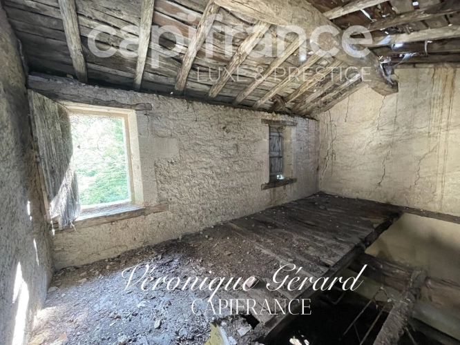 Photos 36 - Équestre - PROPRIETE EQUESTRE SUR PLUS DE 10 HECTARES
