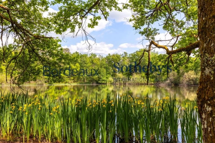 Photos 9 - Prestige - BORDEAUX 1H - SOMPTUEUSE PROPRIÉTÉ DE CAMPAGNE - 41HA - LAC PRIVÉ - DOMAINE UNIQUE