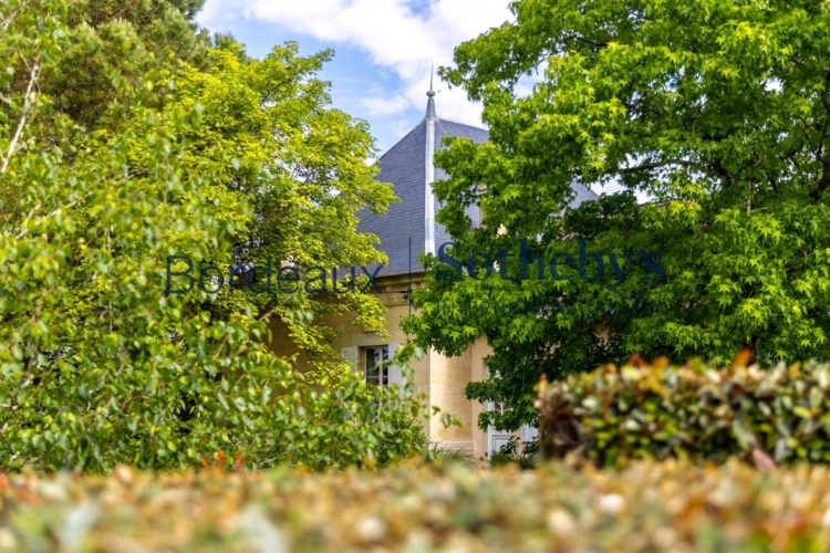 Photos 3 - Viticole - VIGNOBLE DE 2,7 HA AU COEUR DE LA PRESTIGIEUSE APPELLATION DE POMEROL