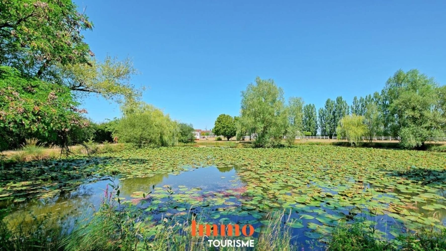 Photos 9 - Prestige - Maison d'hôtes, gîte et PRL au coeur des châteaux de la Loi