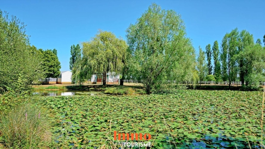Photos 12 - Prestige - Maison d'hôtes, gîte et PRL au coeur des châteaux de la Loi
