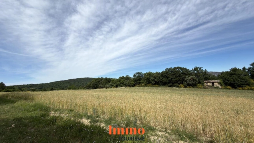 Photos 2 - Agricole - Terrain pour projet d'éco-camping
