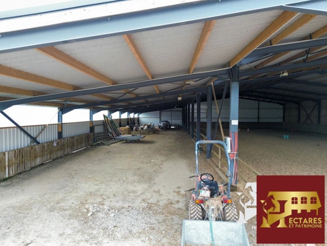 Photos 6 - Équestre - Centre équestre en activité proximité immédiate de Nantes