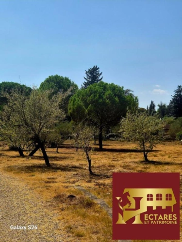 Photos 11 - Équestre - Propriété de charme sur 1ha de terrain au calme absolu sans