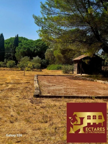 Photos 17 - Équestre - Propriété de charme sur 1ha de terrain au calme absolu sans
