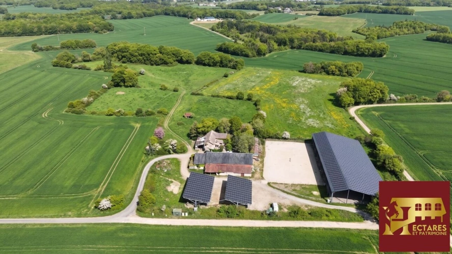 Photos 5 - Prestige - Propriété sur 5 ha possibilité 35 ha