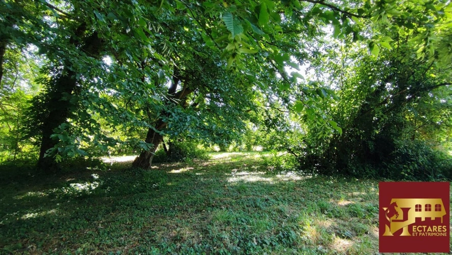 Photos 14 - Rurale - Propriété de caractère à Rénover