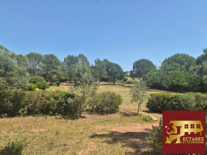 Photos 15 - Équestre - Propriété de caractère à Roquebrune sur Argens . Rare à la v