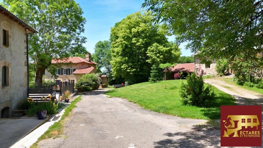 Photos 3 - Touristique - DOMAINE DE CARACTÈRE ET ACTIVITÉ TOURISTIQUE AU COEUR DU HAU