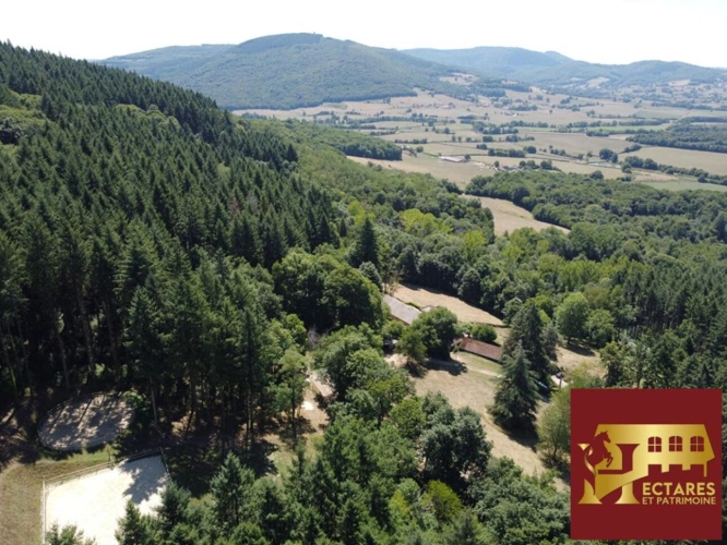 Photos 17 - Équestre - Propriété d'exception 6,4 hectares vue dominante