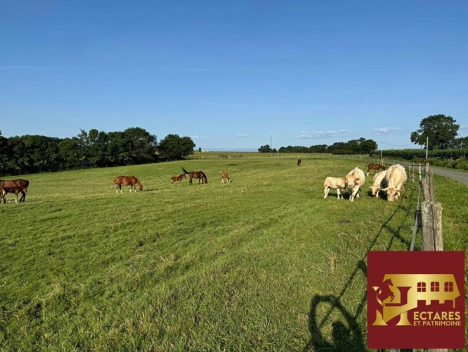 Photos 3 - Équestre - Propriété agricole 48 hectares