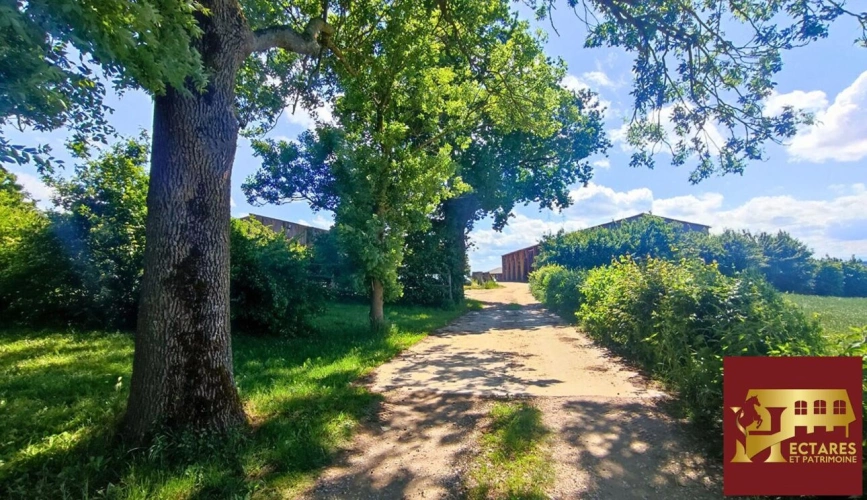 Photos 16 - Équestre - Propriété agricole 48 hectares