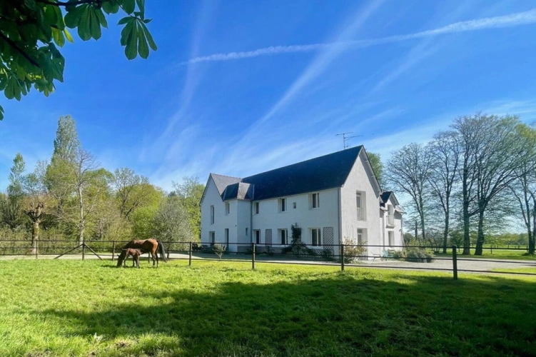 Photos 1 - Équestre - Propriété équestre 4,5 hectares, Saffré 10 pièce(s) 240 m2
