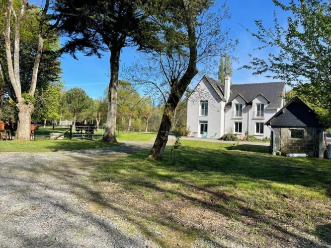 Photos 5 - Équestre - Propriété équestre 4,5 hectares, Saffré 10 pièce(s) 240 m2