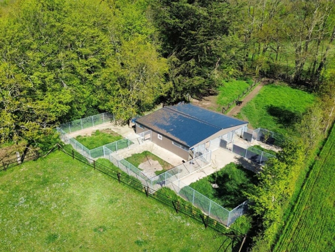 Photos 10 - Équestre - Propriété équestre 4,5 hectares, Saffré 10 pièce(s) 240 m2