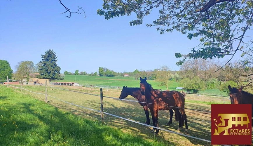 Photos 1 - Équestre - Propriété sans voisins 3,4 hectares