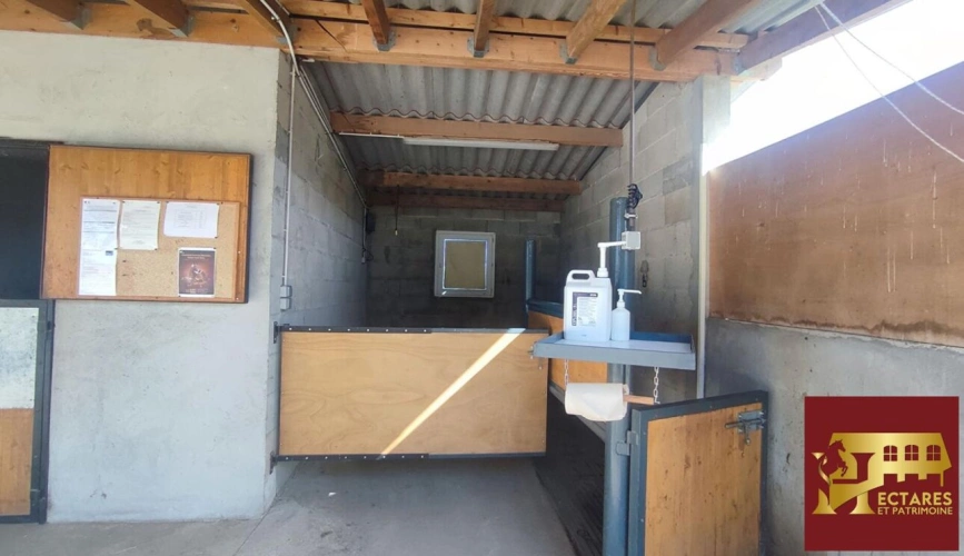 Photos 10 - Équestre - Propriété sans voisins 3,4 hectares
