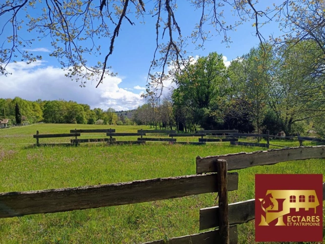 Photos 3 - Équestre - Propriété équestre - Maison avec 2 gîtes - 10 hectares - sou