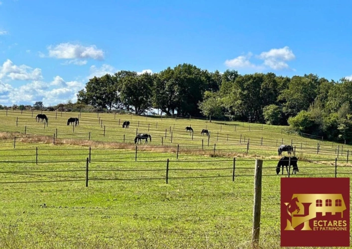 Photos 4 - Équestre - Domaine de 41 hectares, maison de maître et installations éq