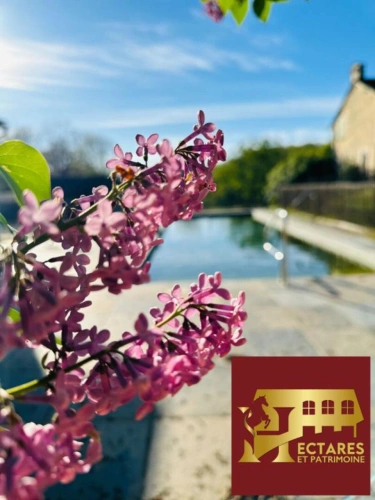 Photos 10 - Équestre - Domaine de 41 hectares, maison de maître et installations éq