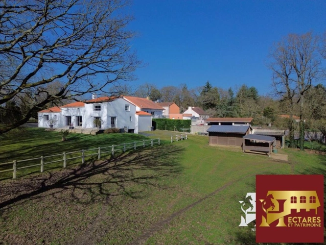 Photos 2 - Équestre - Maison Saint Sebastien Sur Loire 153 m2, 1,5 hectare en loca