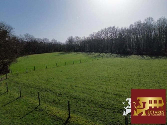 Photos 3 - Équestre - Maison Saint Sebastien Sur Loire 153 m2, 1,5 hectare en loca
