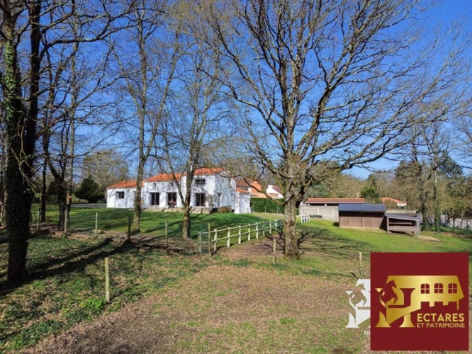 Photos 4 - Équestre - Maison Saint Sebastien Sur Loire 153 m2, 1,5 hectare en loca