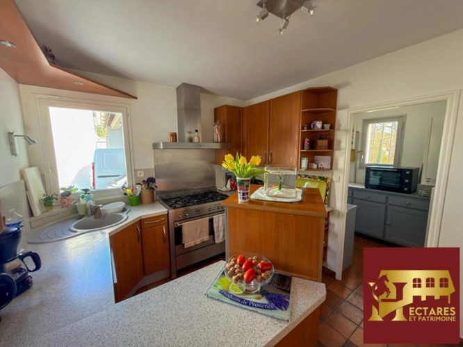 Photos 10 - Équestre - Maison Saint Sebastien Sur Loire 153 m2, 1,5 hectare en loca
