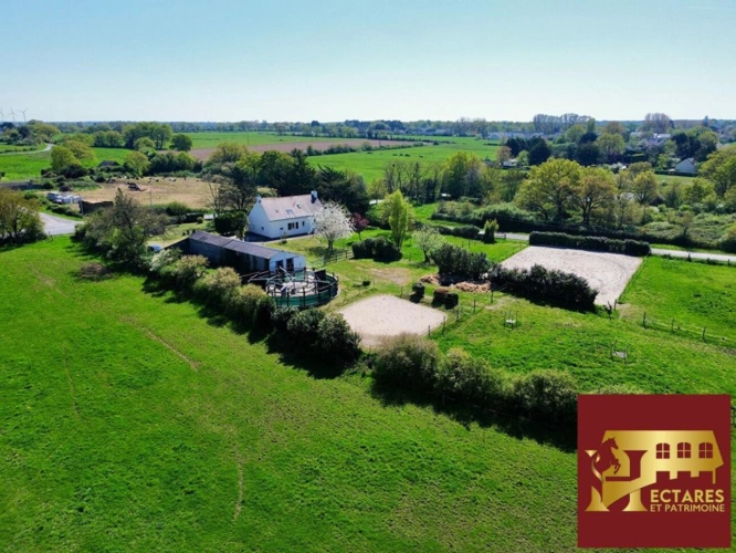 Photos 4 - Équestre - Propriété Equestre sur 7000 m2 + 2 Hectares en location Mais