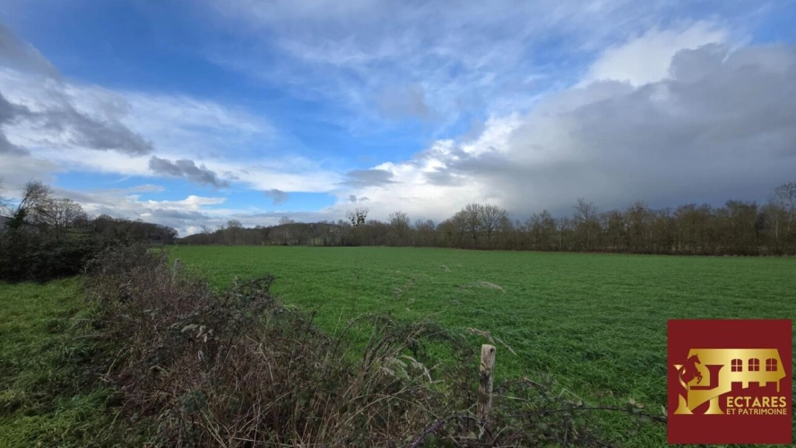 Photos 3 - Équestre - EXCLUSIVITE - Propriété Equestre sur 6 hectares