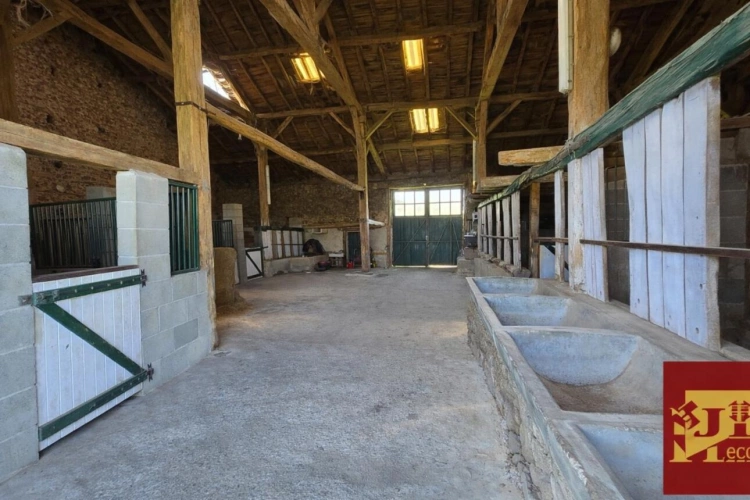 Photos 9 - Équestre - ANCIEN MONASTERE de 214 m2 sur 50 ha - Idéal élevage chevaux
