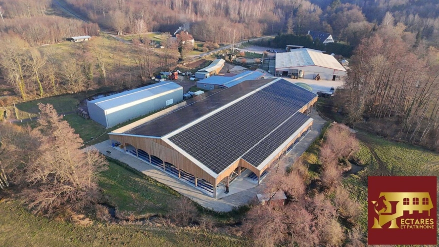 Photos 2 - Équestre - Propriété équestre proche Saverne
