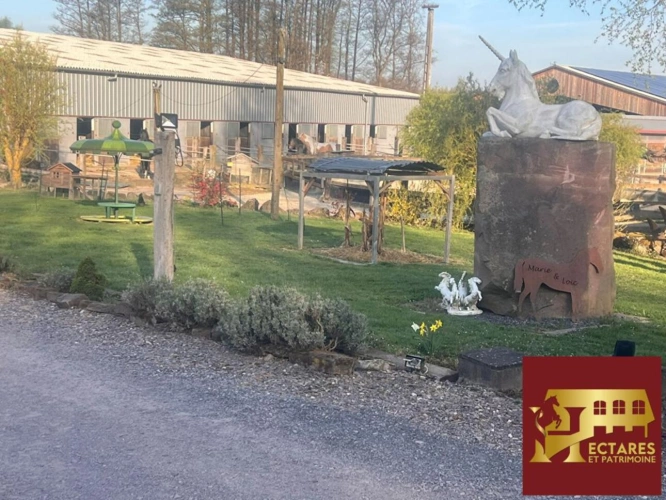 Photos 3 - Équestre - Propriété équestre proche Saverne