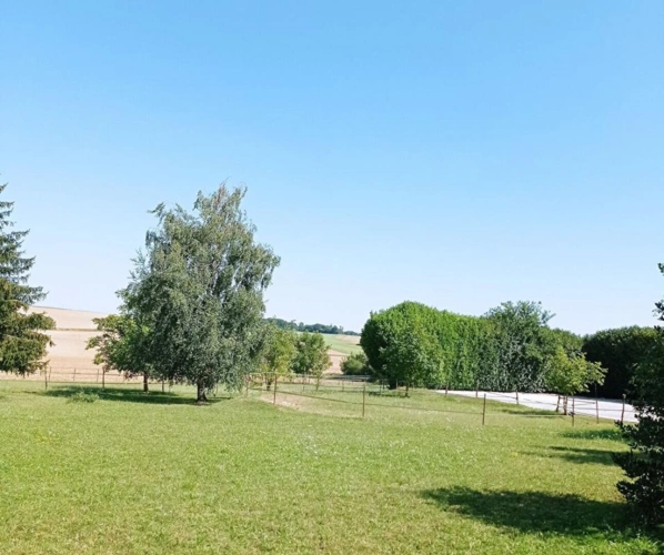 Photos 6 - Équestre - Charmante propriété équestre à 45 minutes de Fontainebleau