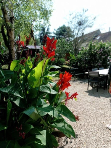 Photos 10 - Équestre - Charmante propriété équestre à 45 minutes de Fontainebleau