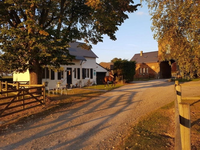 Photos 2 - Équestre - Gîtes et installations équestres