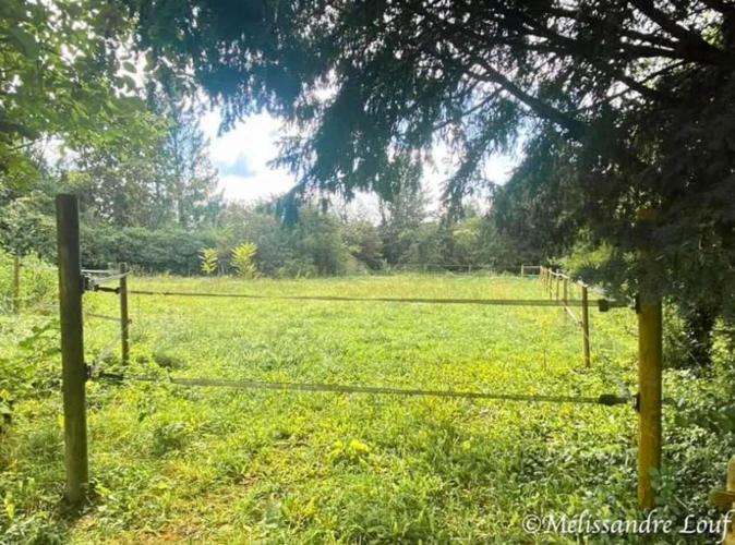 Photos 4 - Équestre - Ecurie et terrain constructible