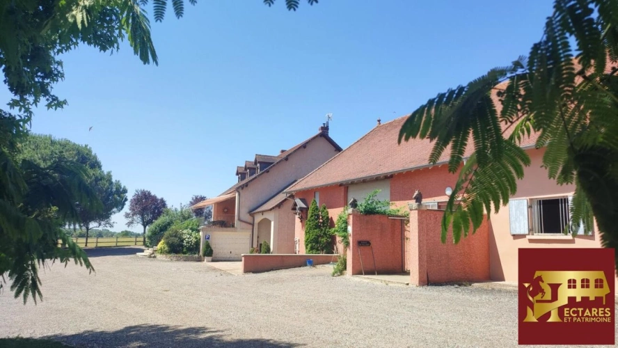Photos 3 - Équestre - Domaine équestre + de 39 hectares