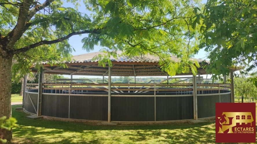 Photos 5 - Équestre - Domaine équestre + de 39 hectares