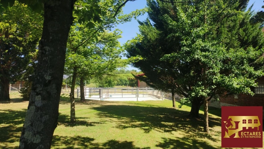 Photos 8 - Équestre - Domaine équestre + de 39 hectares