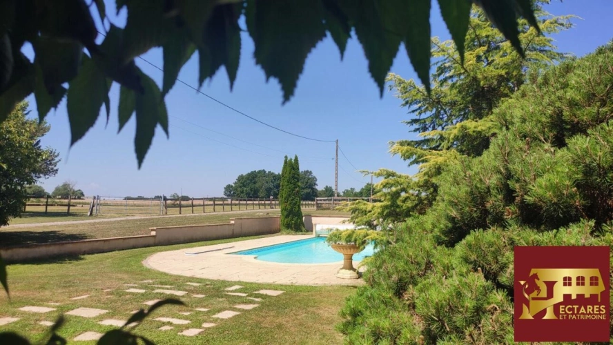 Photos 9 - Équestre - Domaine équestre + de 39 hectares