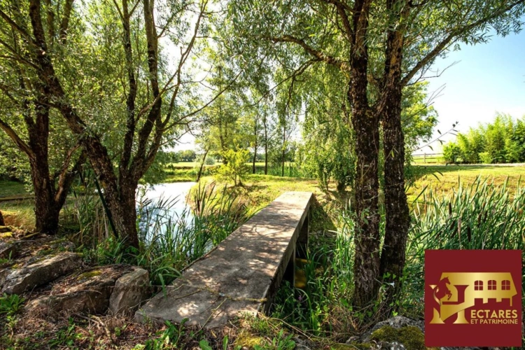 Photos 12 - Équestre - Domaine équestre + de 39 hectares
