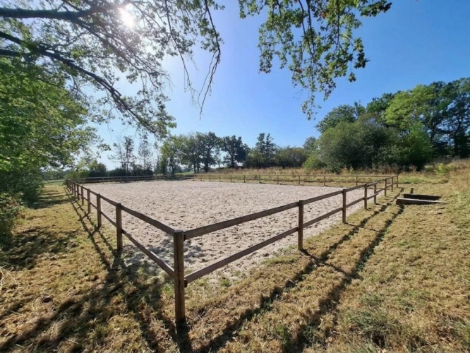 Photos 2 - Équestre - Propriété équestre avec grande maison, piscine et nombreuses