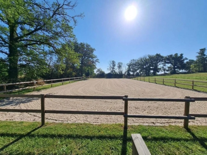 Photos 3 - Équestre - Propriété équestre avec grande maison, piscine et nombreuses