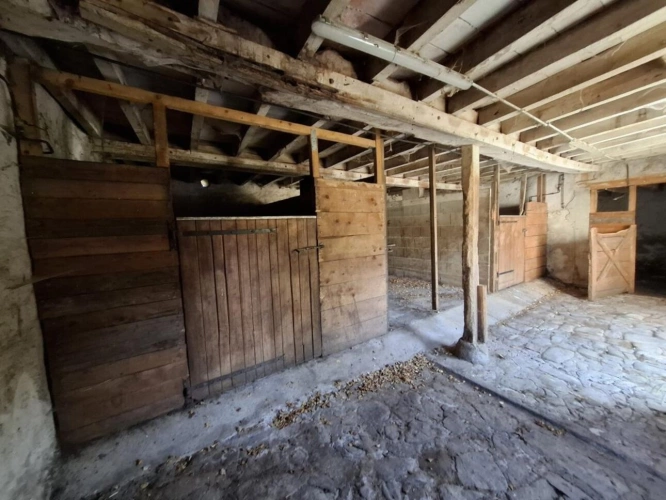 Photos 15 - Équestre - Propriété équestre avec grande maison, piscine et nombreuses
