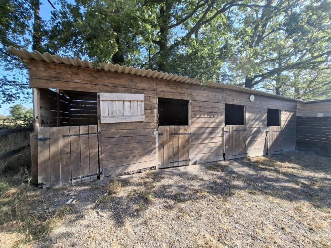 Photos 16 - Équestre - Propriété équestre avec grande maison, piscine et nombreuses