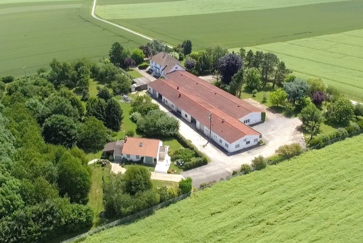 Photos 1 - Prestige - MONTDAUPHIN (77) à vendre ensemble immobilier composé de deux maisons, de 2 bâtiments industriels sur un terrain de  de 2 hectares