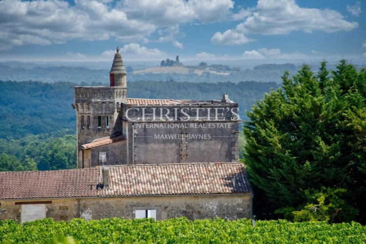 Photos 1 - Prestige - Aux portes de Saint-Émilion et de la Dordogne, une demeure de caractère à réinventer