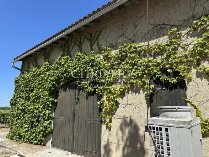 Photos 3 - Viticole - Propriété viticole en AOC Saint-Émilion Grand Cru