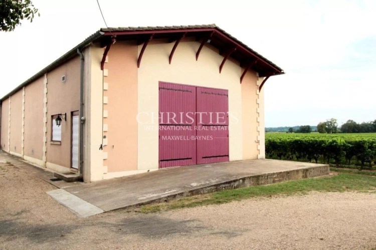Photos 4 - Viticole - Propriété viticole en AOC Saint-Émilion Grand Cru